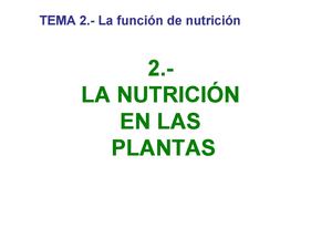 LA NUTRICIÓN EN LAS PLANTAS.