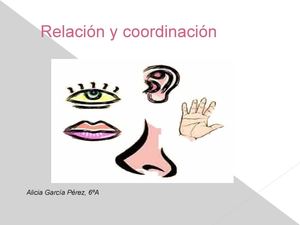 RELACIÓN Y COORDINACIÓN