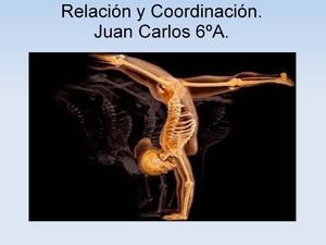 RELACIÓN Y COORDINACIÓN