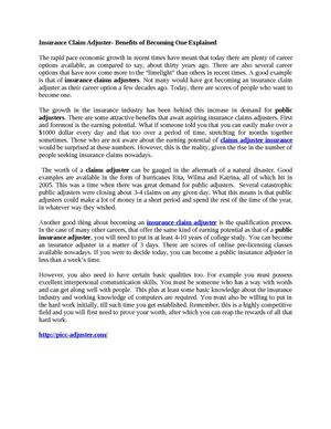 Insurance Claim Adjuster
