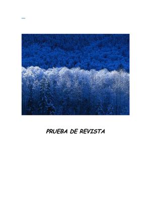 PRUEBA DE REVISTA