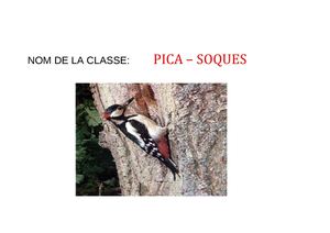 PICA SOQUES BLOG