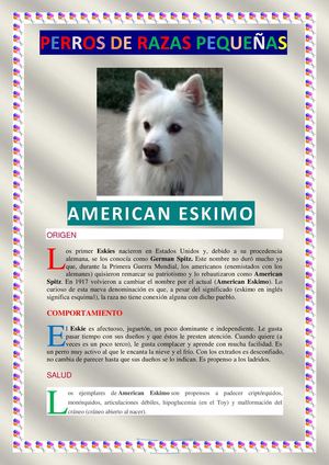 Perros de razas pequeñas