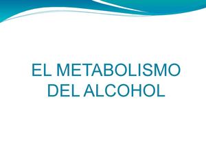 El Metabolismo del Alcohol
