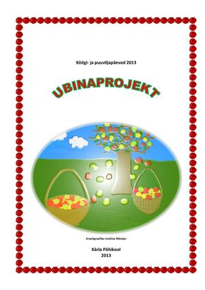 Ubinaprojekti kokkuvõte