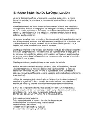 Enfoque Sistémico De La Organización