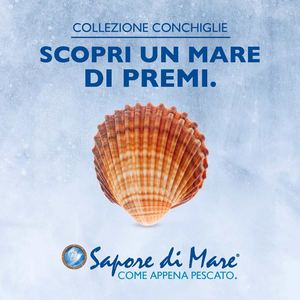 Collezione Conchiglie. Scopri un mare di premi.