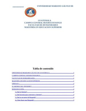 Manual internet, prezzi en word