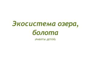 Экосистема болота