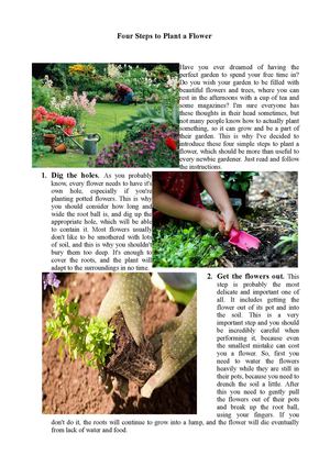 Four Steps to Plant a Flower