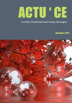 Journal CE Aubay Boulogne - novembre 2013