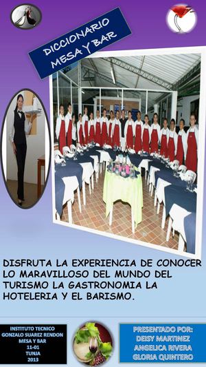 DICCIONARIO MESA Y BAR 