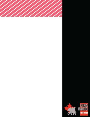 Cina Media Kit Mock Up