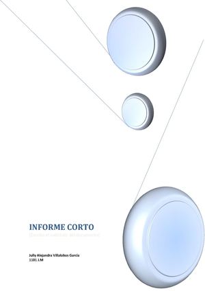 Informe corto
