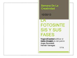 Fases De La Fotosíntesis experimento  