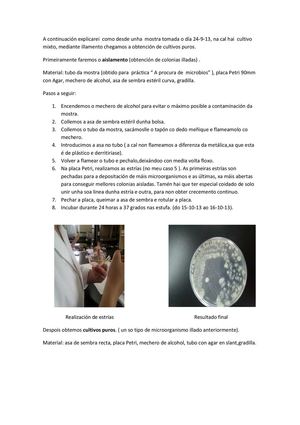 Obtención de cultivos puros