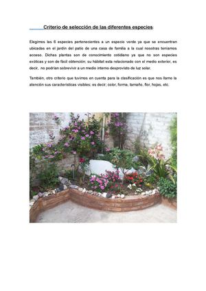 tp. vegtal. Haimur y Degrati