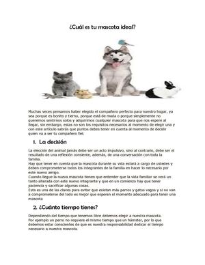 Cuál es tu mascota ideal