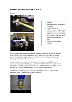 OBTENCIÓN DE CULTIVO PURO 2