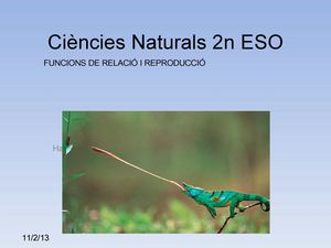 Funcions de Relació i Reproducció