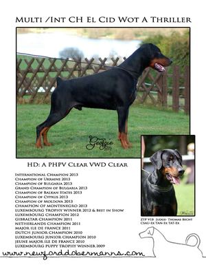 Newford Dobermanns Puppy Pack