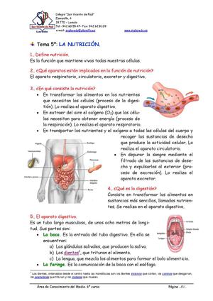 Tema 5 de conocimiento del medio - la nutrición