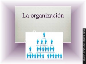 Organización: organigramas y manuales.