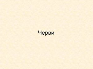 дождевой червь