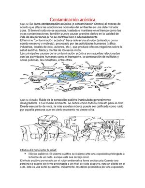 CONTAMINACIÓN ACÚSTICA 
