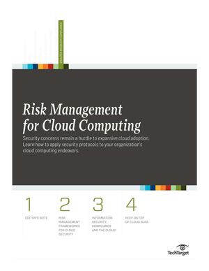 Risk Management for Cloud Computing