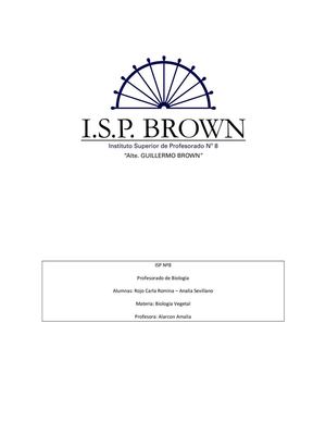 Trabajo Final Biologia Vegetal - Plantas Orgnamentales- Rojo Romina, Sevillano Analia