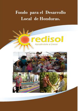 Perfil Institucional CREDISOL