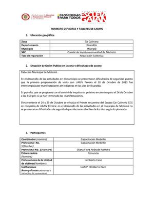 FORMATO DE VISITAS Y TALLERES