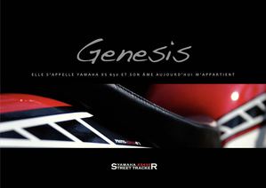 Street Tracer XS 650