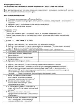 Шишкина Н. В. лицензионное соглашение