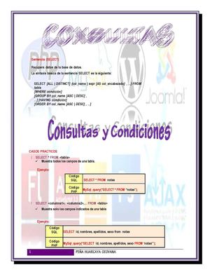Consultas
