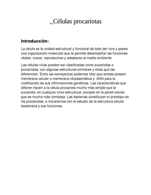 celulas procariotas