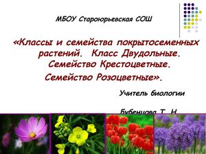 Презентация интерактивного урока биологии  "Классы и семейства покрытосеменных растений.  Класс Двудольные. Семейство Крестоцветные.  Семейство Розоцветные».  "