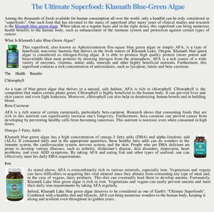 The Ultimate Superfood