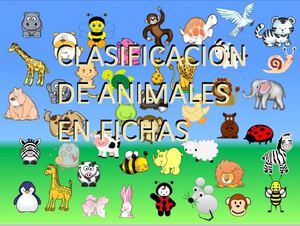 Clasificación de animales en fichas