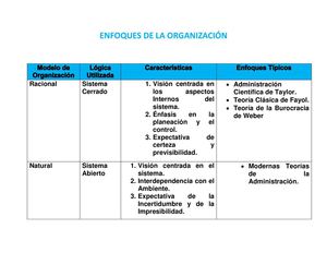 ENFOQUES DE LA ORGANIZACIÓN