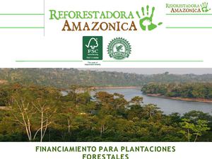 Reforestadora Amazónica - Presentacion Agrobanco Noviembre 2013