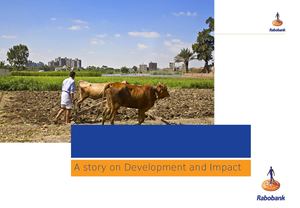 General presentation Rabo Development 2013