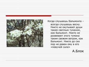 Урок литературы в 11 классе