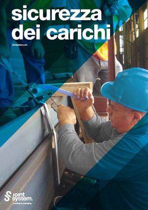 fissaggio delle merci e carichi su container, su camion, treno ed aereo