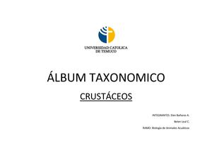 albun taxonomico