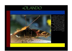 Farfallina e bimbabella