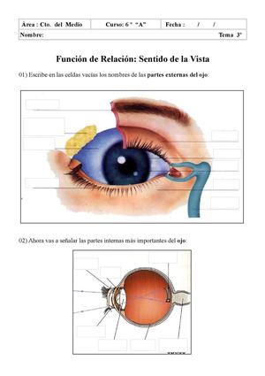 Partes de los sentidos