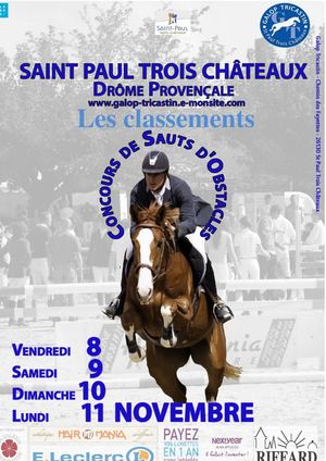 Galop Tricastin - CSO du 8 au 11 Novembre 2013