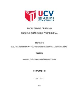 SEGURIDAD CIUDADANA Y POLITICAS PÚBLICAS CONTRA LA CRIMINALIDAD - PROYECTO COMPUTO 1